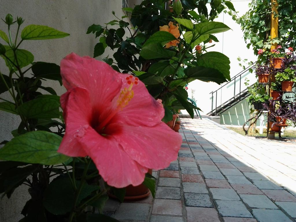 Vilele Brise De Mer Două Mai Exterior foto